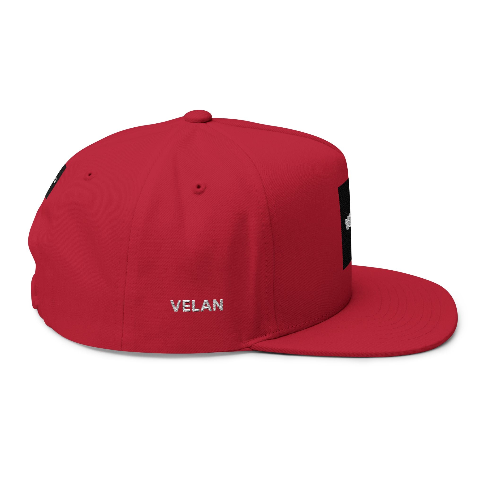 Velan Box Logo Snapback