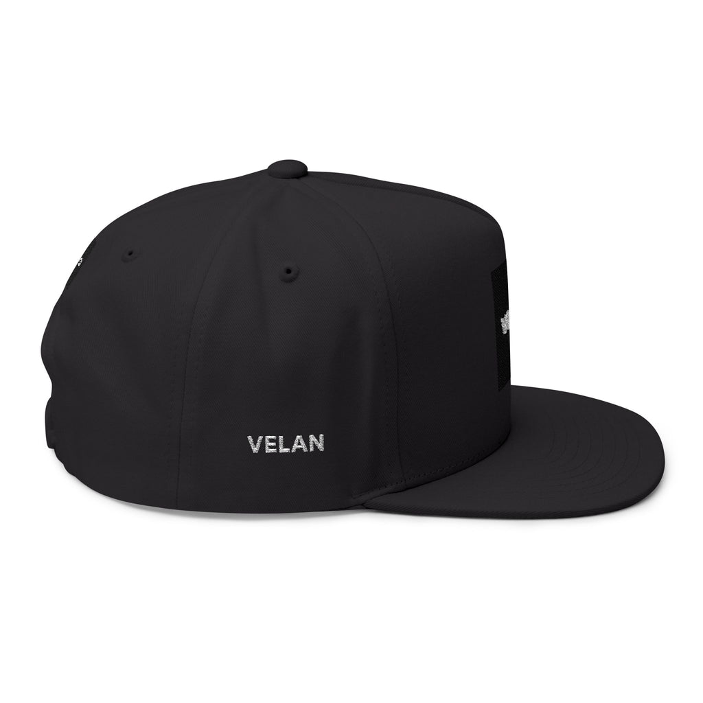 Velan Box Logo Snapback