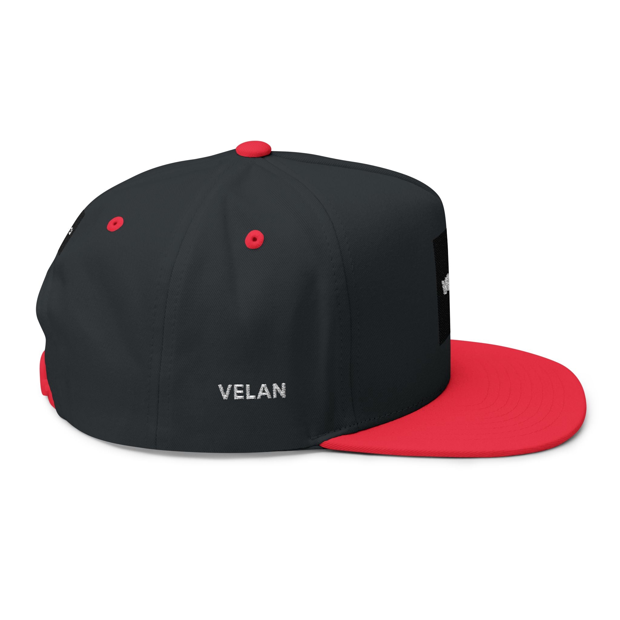 Velan Box Logo Snapback