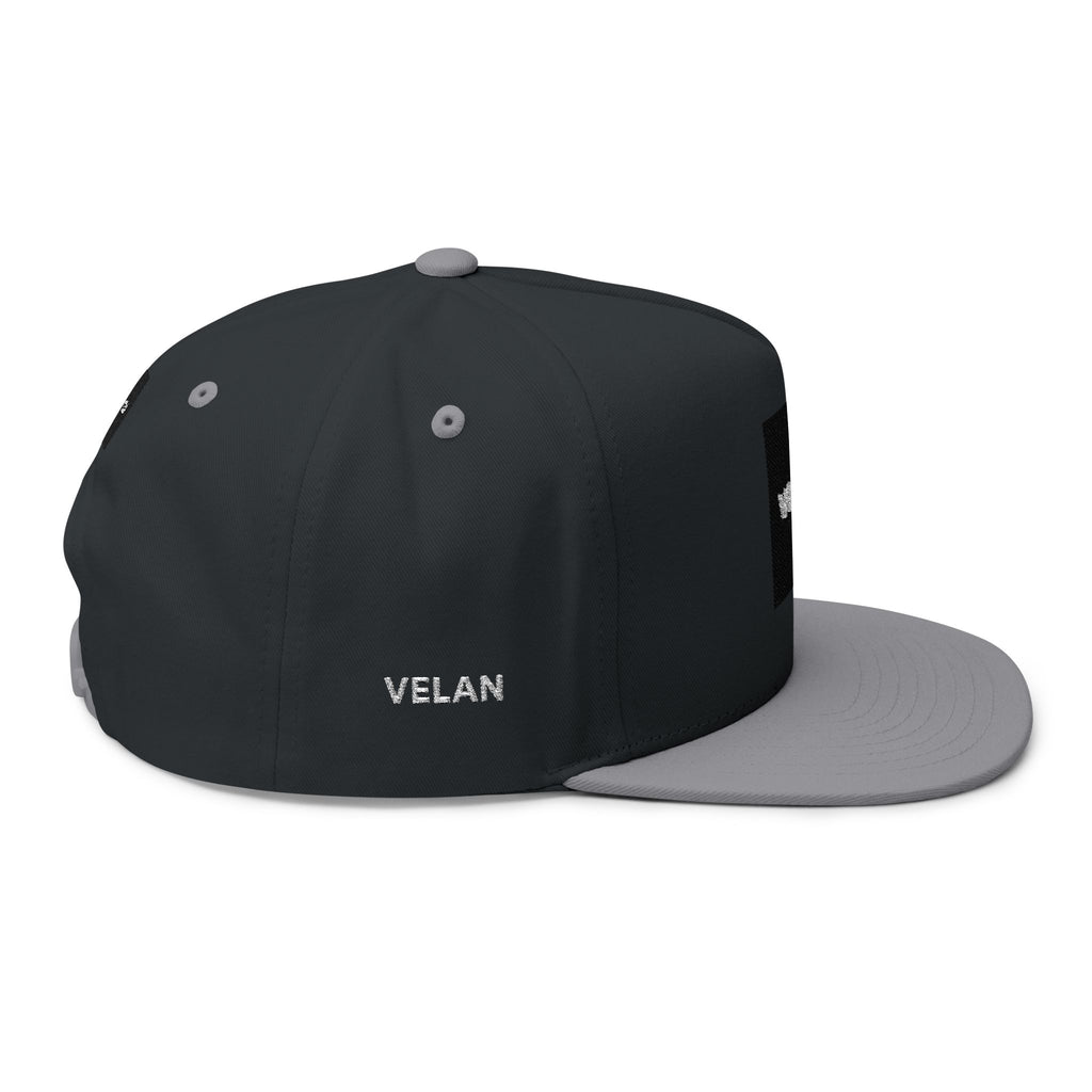 Velan Box Logo Snapback