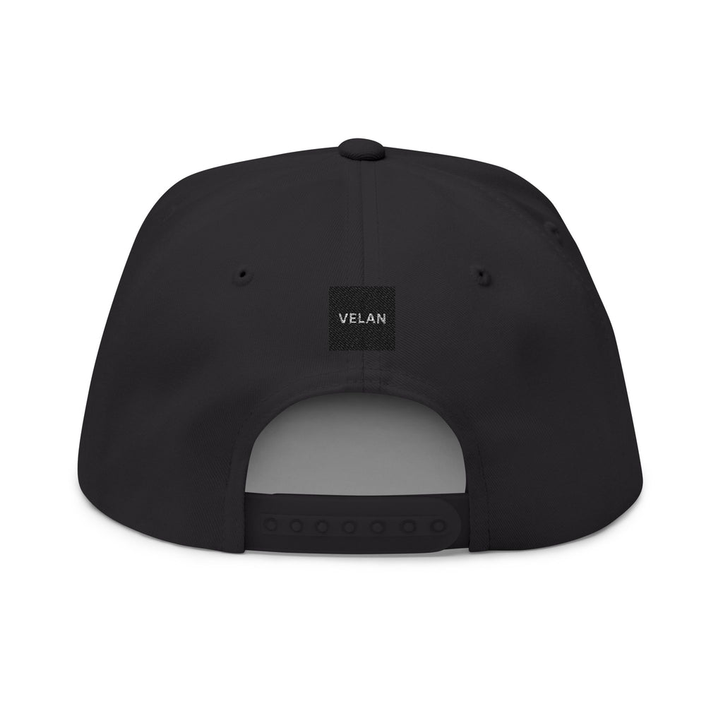 Velan Box Logo Snapback