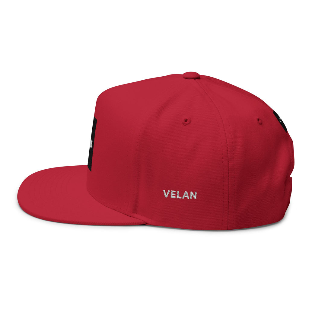 Velan Box Logo Snapback