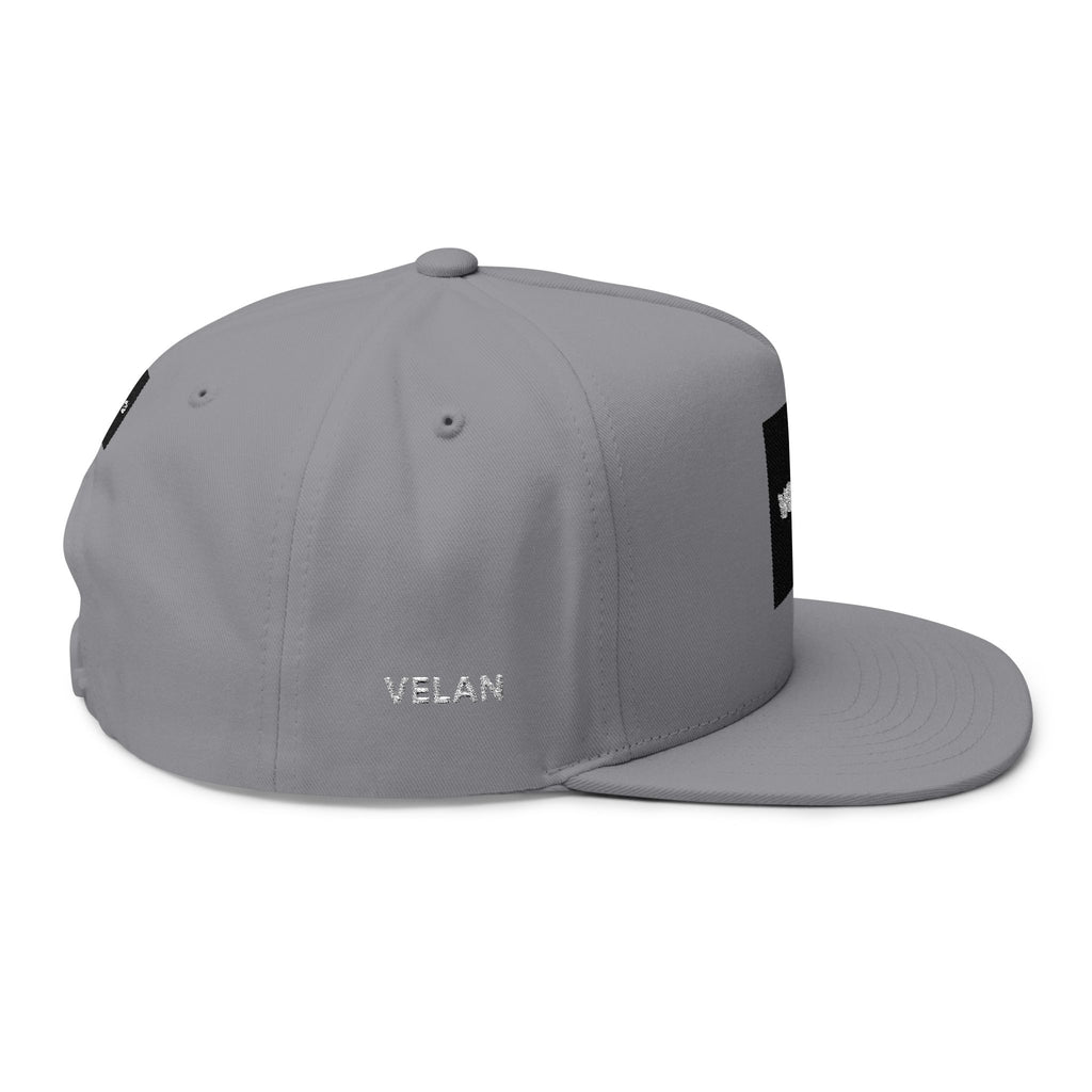 Velan Box Logo Snapback